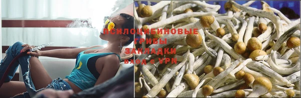 прущая мука Ладушкин